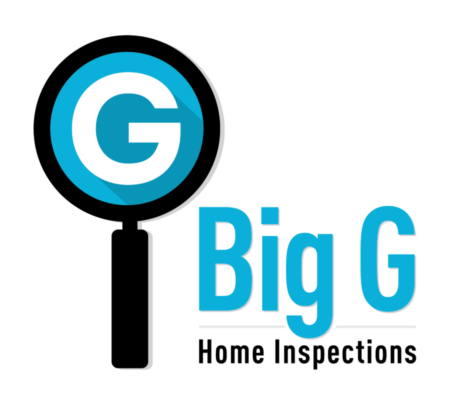 Don't Invest until Big G Inspects!